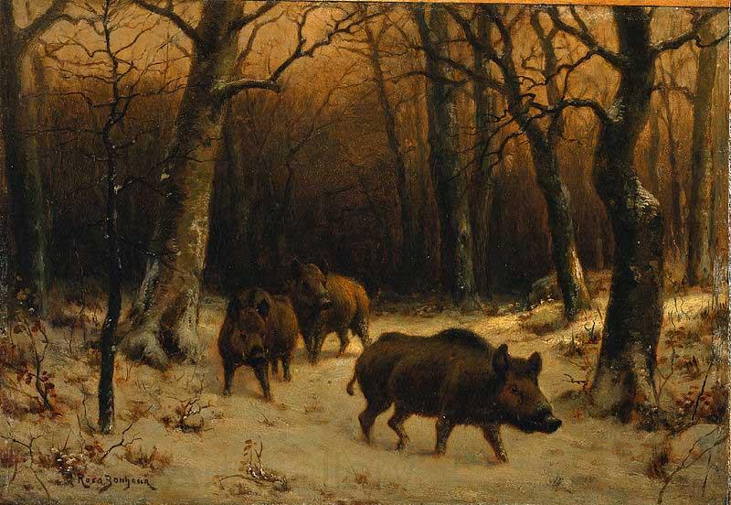 Rosa Bonheur Wild Boars in the Snow Spain oil painting art
